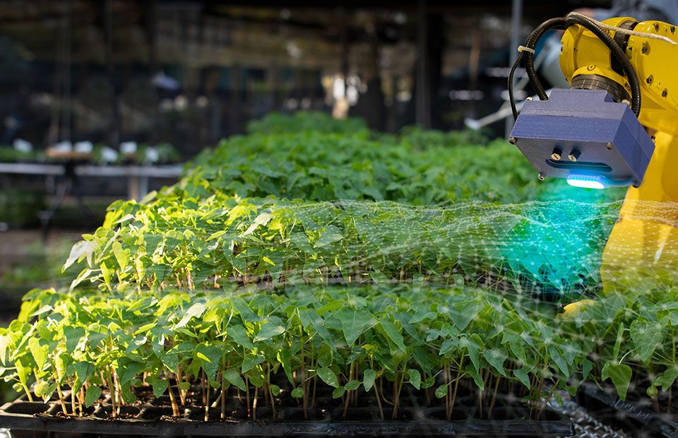 Robotic arm tending seedlings in a smart-farming greenhouse